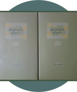 بلاغت و عروض و قافیه در ادب فارسی (2جلدی)