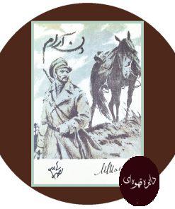 دن آرام (2 جلدی)