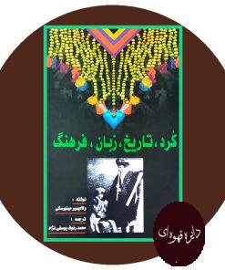 کرد، تاریخ، زبان، فرهنگ