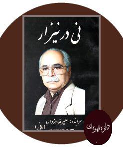 نی در نیزار