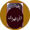 نظریه فیلم عامه پسند