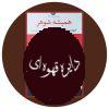 همیشه شوهر