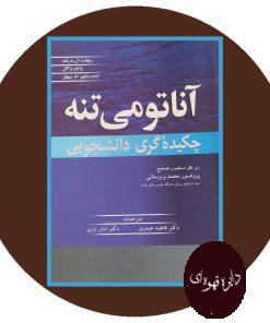 آناتومی تنه