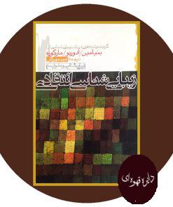 زیبایی شناسی انتقادی